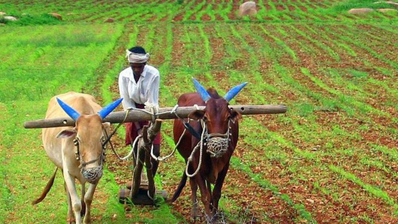 14th Instalment of PM-Kisan Yojana to Credit Soon