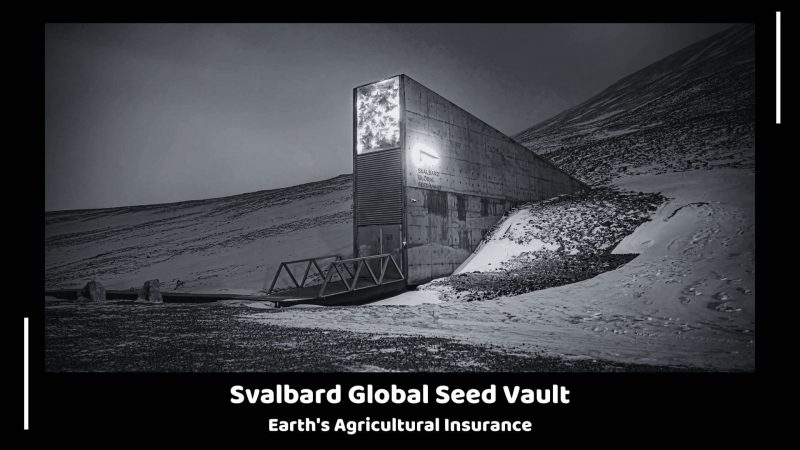 Svalbard Global Seed Vault - Earth's Agricultural Insurance
