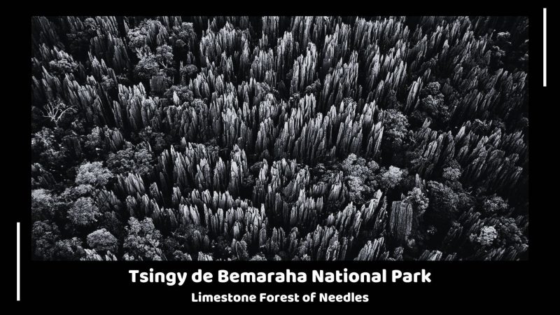 Tsingy de Bemaraha National Park - Limestone Forest of Needles