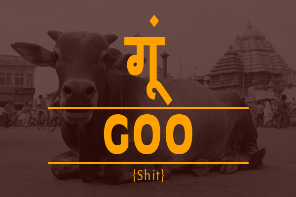 haryanvi slangs goo meaning