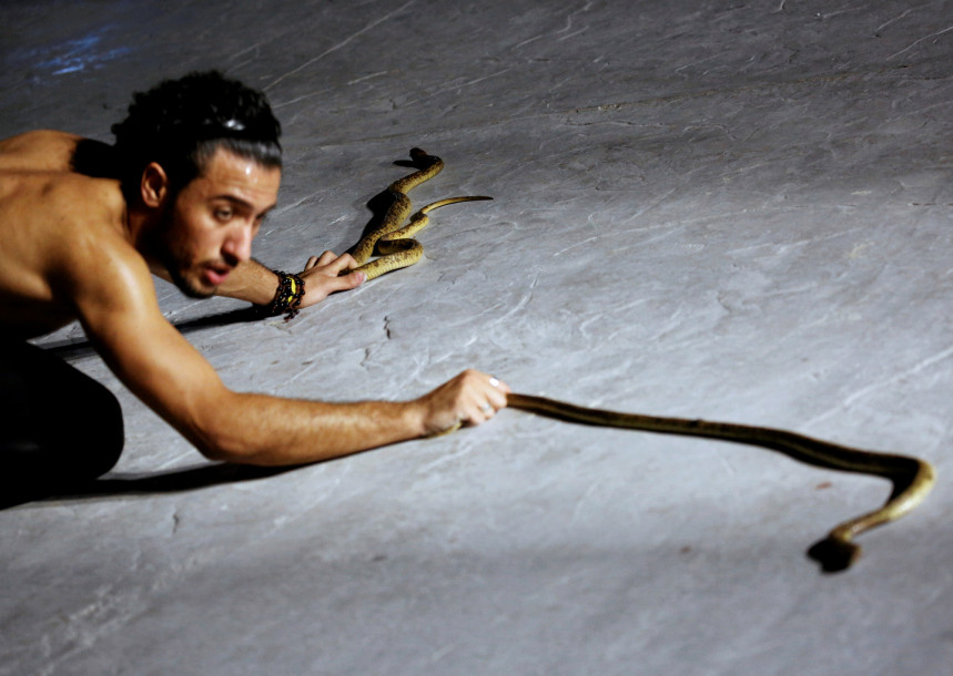 Egyptian snake charmer