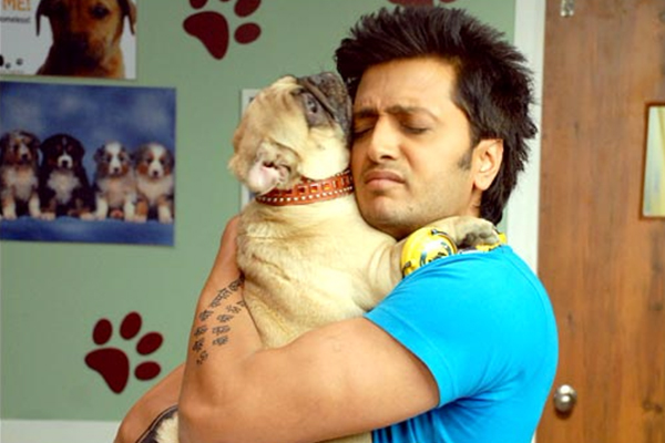 dog breeds in bollywood movies