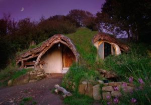 unusual house: Hobbit House