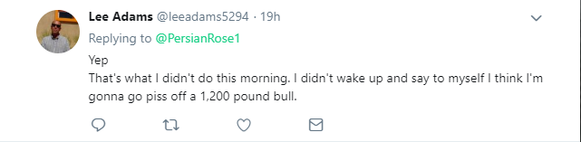 Bull crushes man Twitter