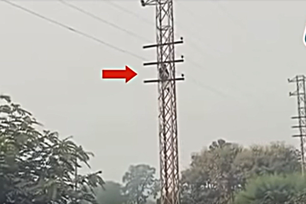 man climbed electric tower