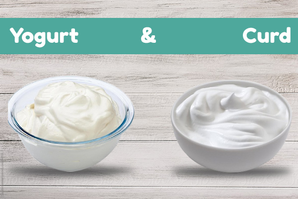 difference between yogurt and curd