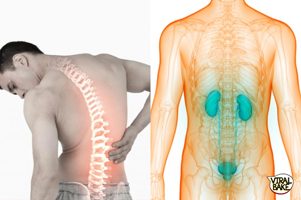 back pain symptoms with 