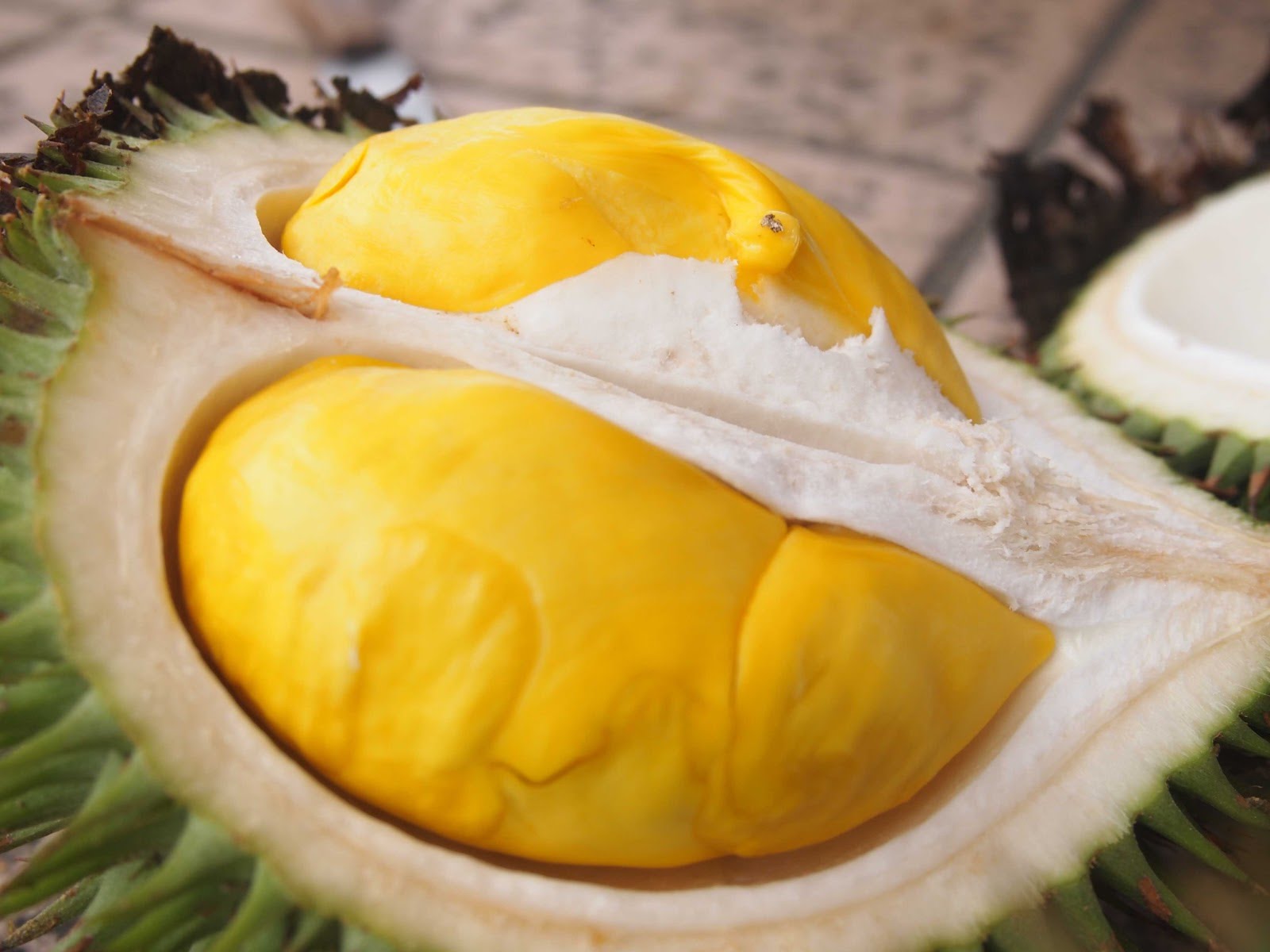 durian fruit 
