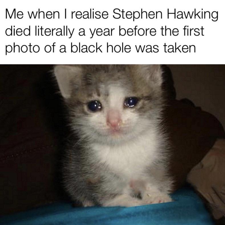 black hole memes