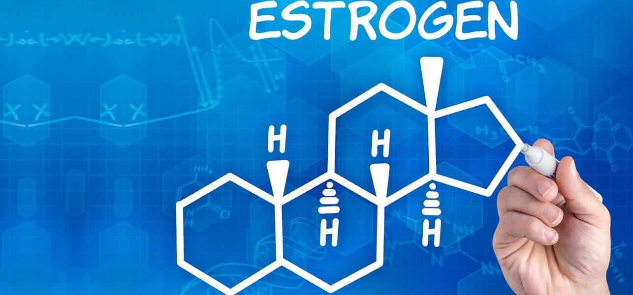 estrogen happy hormones