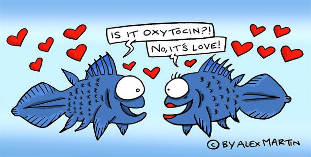 oxytocin happy hormones