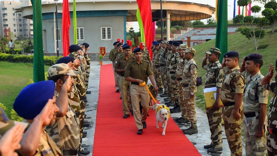 CISF dogs