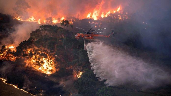 Australian Bushfires 