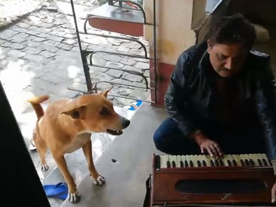 Dog Singing Ranu Mondal  song