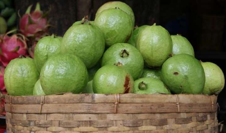 health benefits of guava 