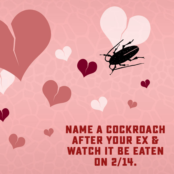 Name A Cockroach After Your Ex And Watch It Get Eaten Alive