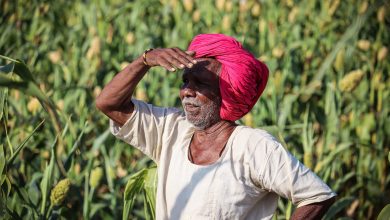 Farmers will receive 10th installment of PM-KISAN Yojna on January 1, they have to complete their e-KYC before the date