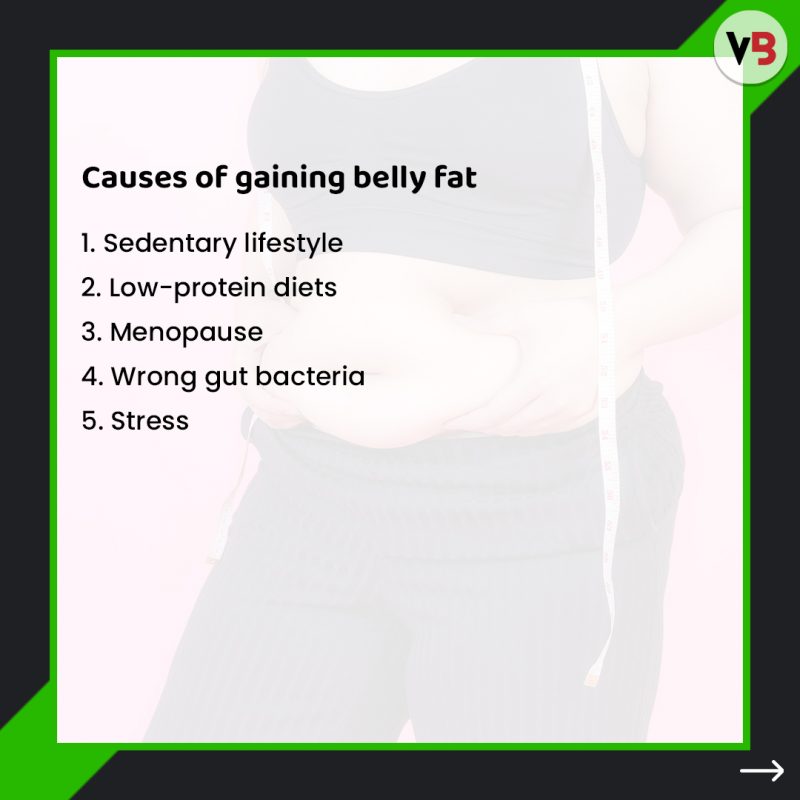 Causes Of Gaining Belly Fat