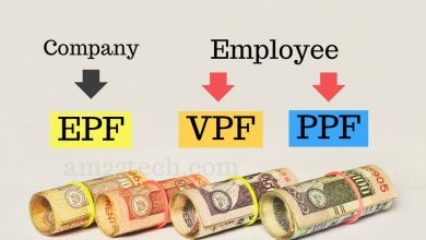 Which Is One Better For You PPF Or VPF?