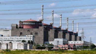 Ukraine's Nuclear Power Plant On Fire, President Shares Video
