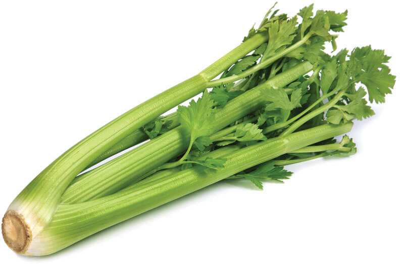Celery for Hypertension  