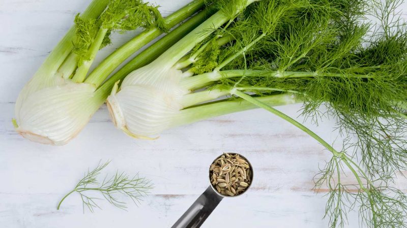 Fennel Bloated Stomach