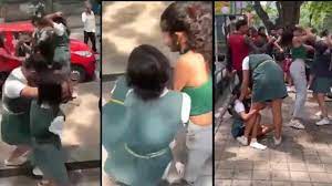 Violent Girls: Video Of Bengaluru School Girls Street Fighting Went Viral