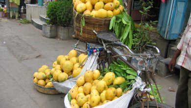 20 Delicious Types Of Mangoes In India And From Where They Belong