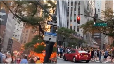 New York Is Unreal, Watch People Stopping Traffic To Capture Sunset