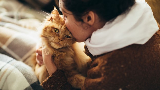 Advantages Of Owning An Emotional Support Animal