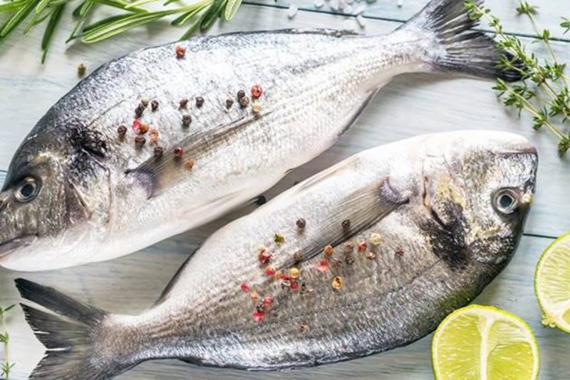 Fatty Fish, The Right Diet For Diabetes,