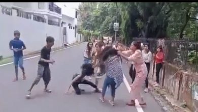 Girls Fighting Over Boyfriend Go Viral In Haldwani, Watch Video