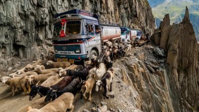 9 Most Scenic But Deadliest Roads of India