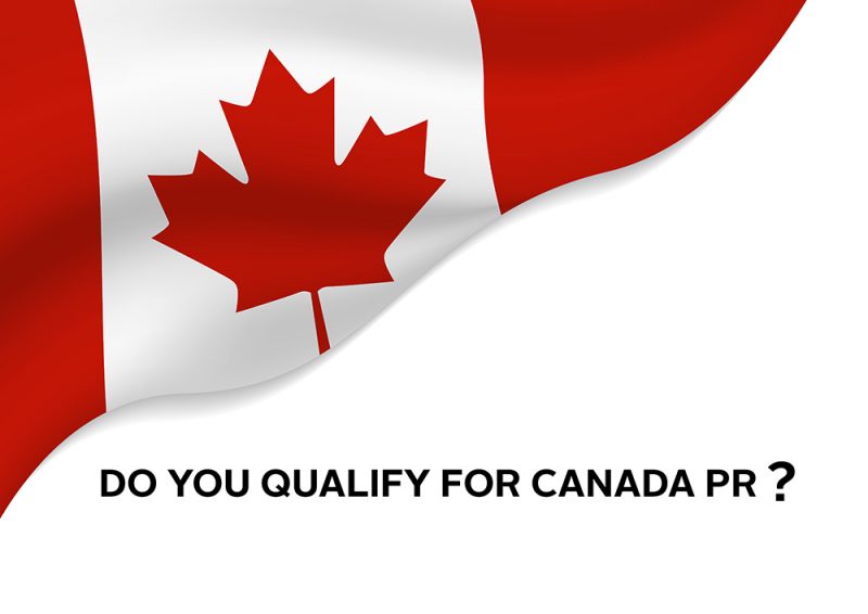 Canada flag isolated on white background with copy space vector