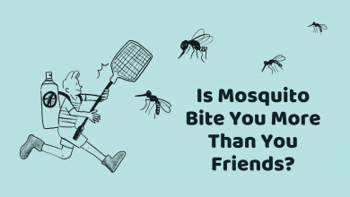 Is Mosquito Bite You More Than You Friends