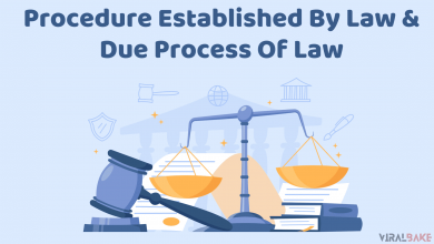 Procedure Established By Law And Due Process Of Law