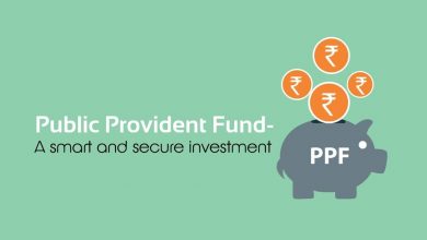 ppf smart investment for retirement