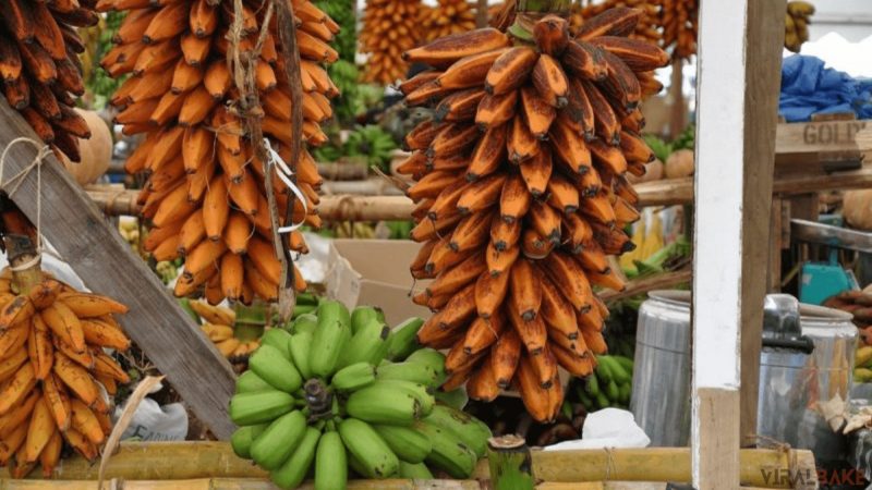 Fehi Banana found in New Guinea