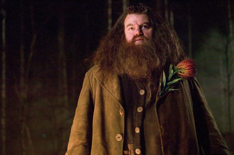 Harry Potter's Hagrid, Robbie Coltrane, Dies At 72