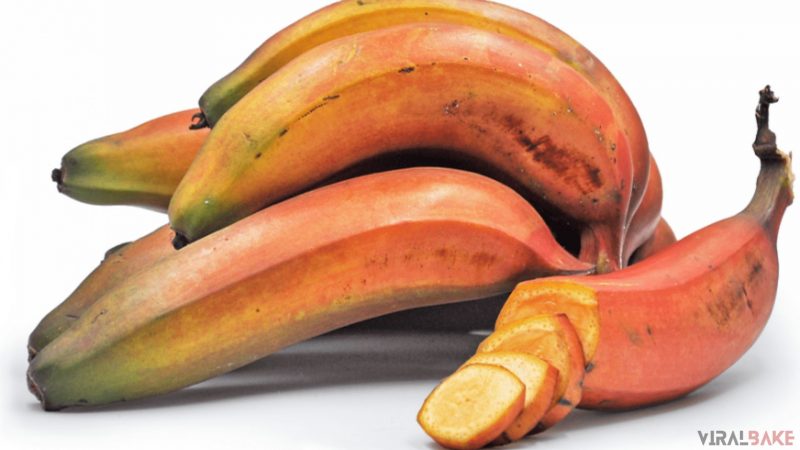 Red Banana found in Central America