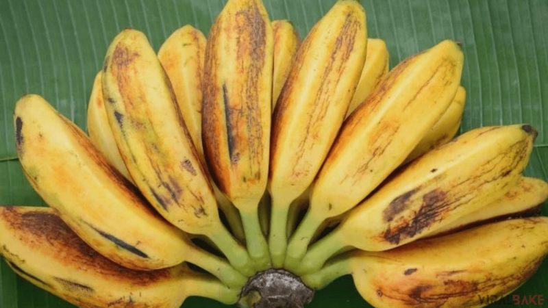 Saba Banana found in Philippines