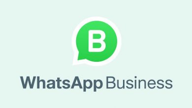 WhatsApp Premium Update for Business Account Holders