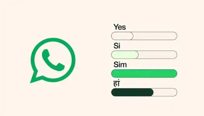 All About WhatsApp Polls