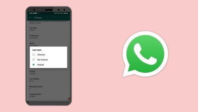 How Can I Hide My WhatsApp Online Status