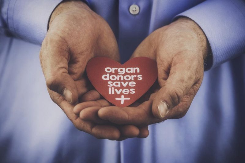 Organ Donor Expenses