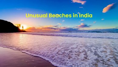Top 10 Unusual Beaches In India to Explore this Summer