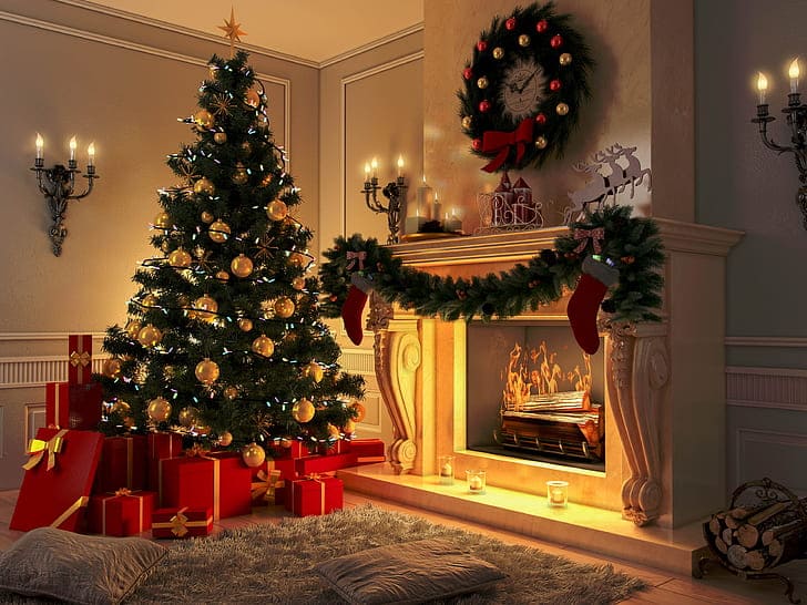 Xmas Tree 2022: Facts, Tips, Care and More about Christmas Trees