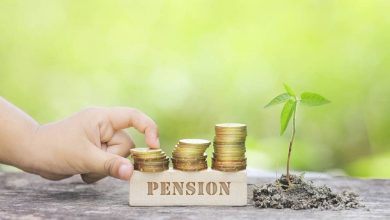 State-Wise National Pension System Money Data by the Ministry of Finance