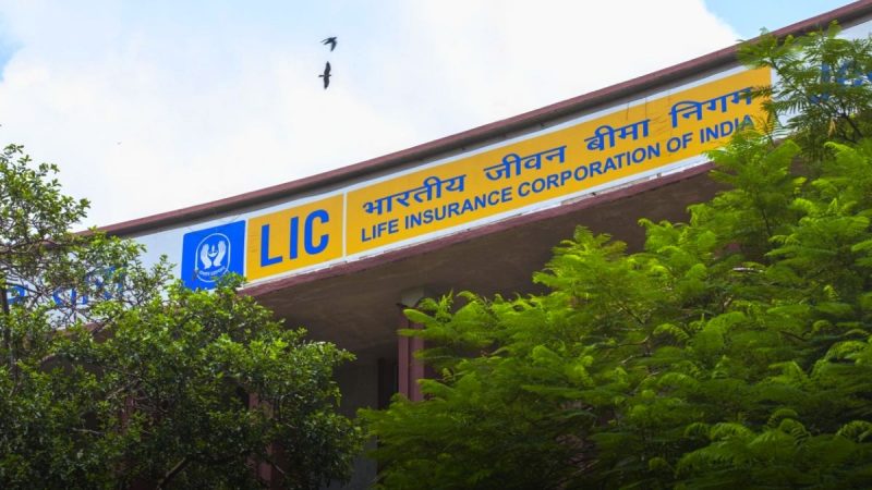 LIC WhatsApp Services Launched, Know Which Features You Can Use