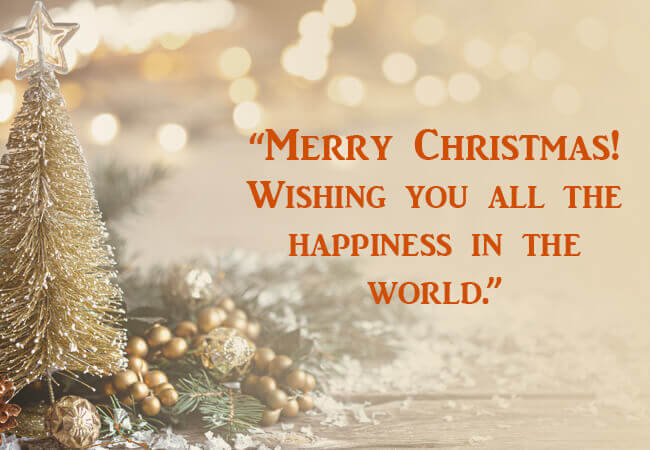 “Merry Christmas! Wishing you all the happiness in the world.”